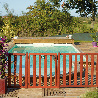Barriere piscine bois Natural couleur acajou
