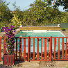 Portillon piscine bois Natural couleur acajou - Longueur 95 cm