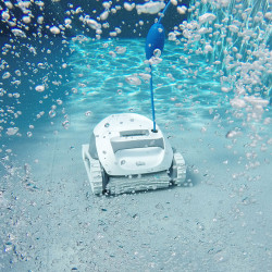 Robot Dolphin E10