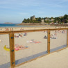 Portillon bois pour barrière piscine bois - En plexiglas