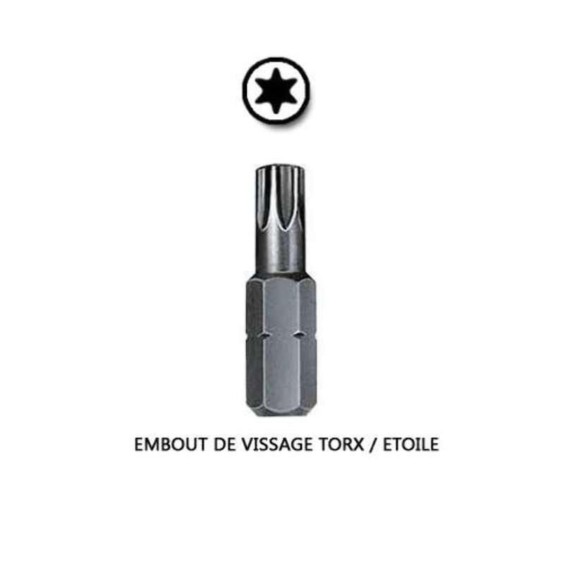 Embout de vissage torx pour fixation barriere piscine bois Embout de vissage torx pour fixation barriere piscine bois
