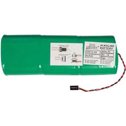 Pile 9V DSP10-S5 pour borne maitre Prima protect et sirène Blueprotect