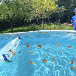 Filet épuisette XXL anti-feuilles Platypool