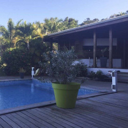 Prima Protect 4 bornes + Télécommande + 2 clés