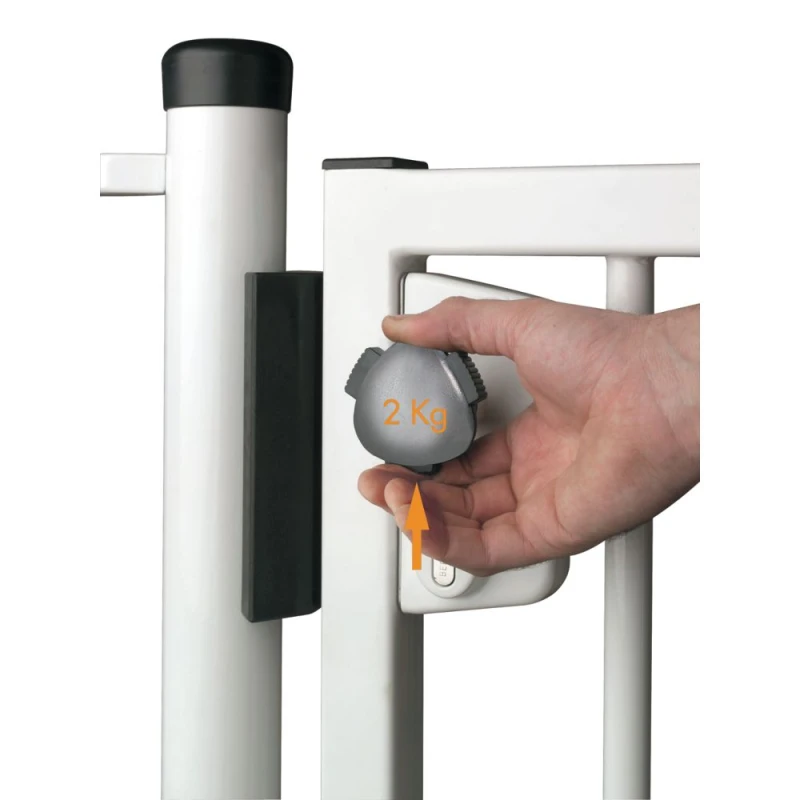 Portillon bois pour barrière piscine bois - à barreaux