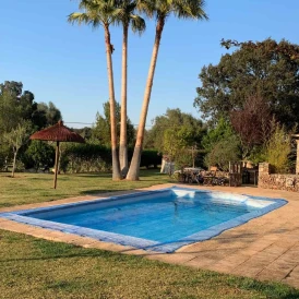 Filet anti-feuilles piscine