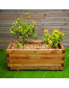 Jardinières en bois de pin pour vos terrasses et piscines